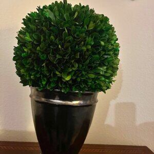 Faux boxwood in Chrome Vase